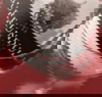 Burrundulla Vineyards - Inverell Accommodation