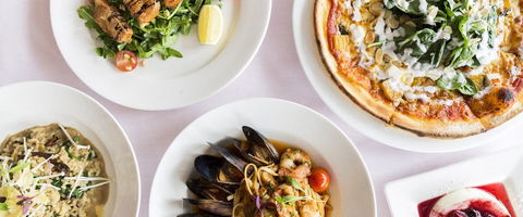 Alowyn Gardens Cafe - Inverell Accommodation 0