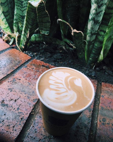 Milk & Froth - Clayfield - Inverell Accommodation 0