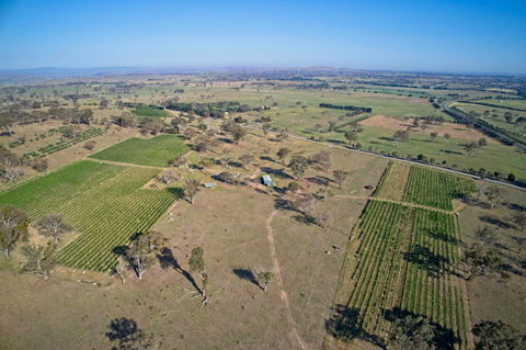 Barton Estate Winery - Inverell Accommodation 2