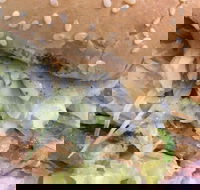 Great North Seafood - Inverell Accommodation