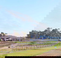 Blacklea Vineyard and Olive Grove - Inverell Accommodation