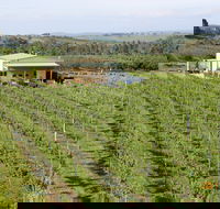 Dindima Wines - Inverell Accommodation
