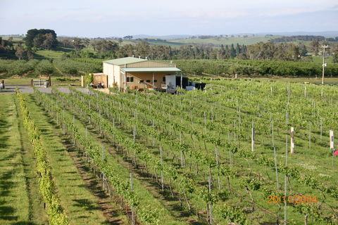 Dindima Wines - Inverell Accommodation 0