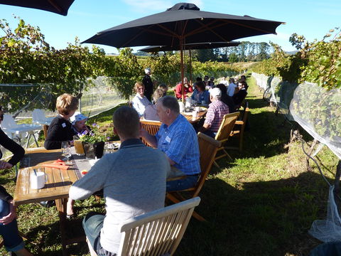 Dindima Wines - Inverell Accommodation 1