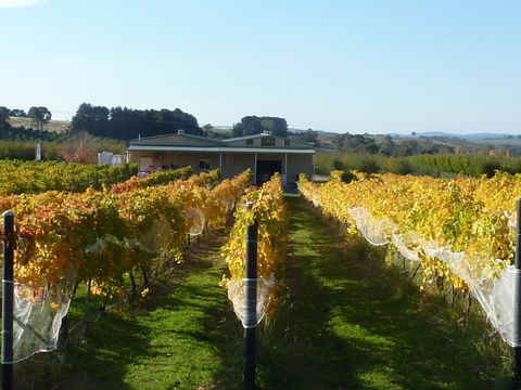 Dindima Wines - Inverell Accommodation 2