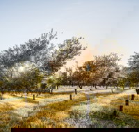 Guneemooroo Estate - Inverell Accommodation