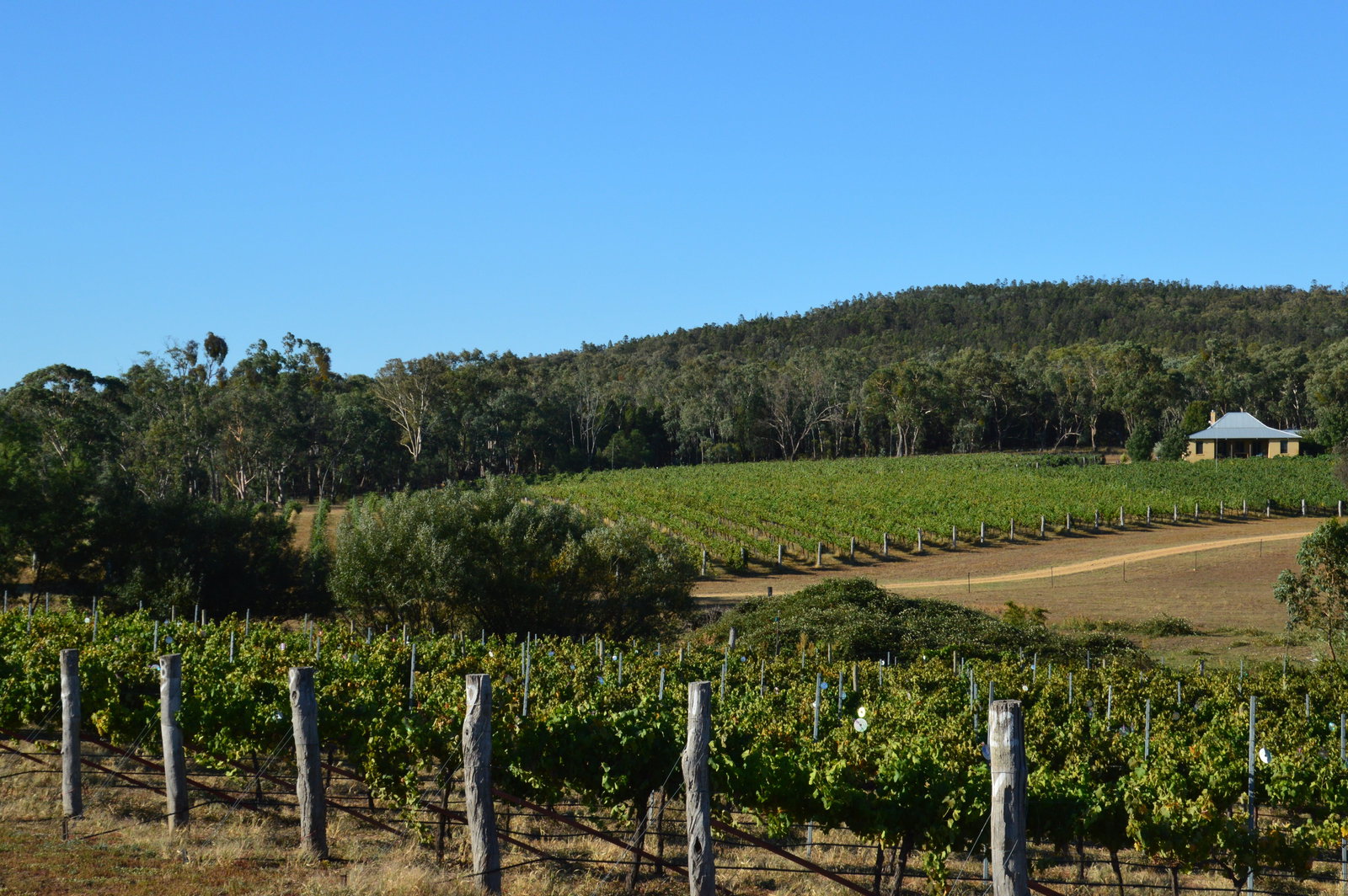 Gumble ACT Inverell Accommodation