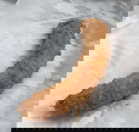 Blue Ocean - Inverell Accommodation