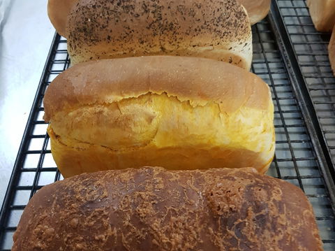 Plantation Organic Bakery - Inverell Accommodation 0