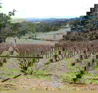 Habitat Vineyard - Inverell Accommodation