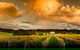 Fraser Gallop Estate - thumb 0