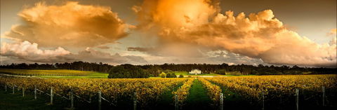 Fraser Gallop Estate - Inverell Accommodation 0