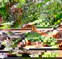 Jaques Coffee Plantation - Inverell Accommodation