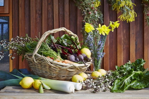O'Reilly's Orchard - Inverell Accommodation 1