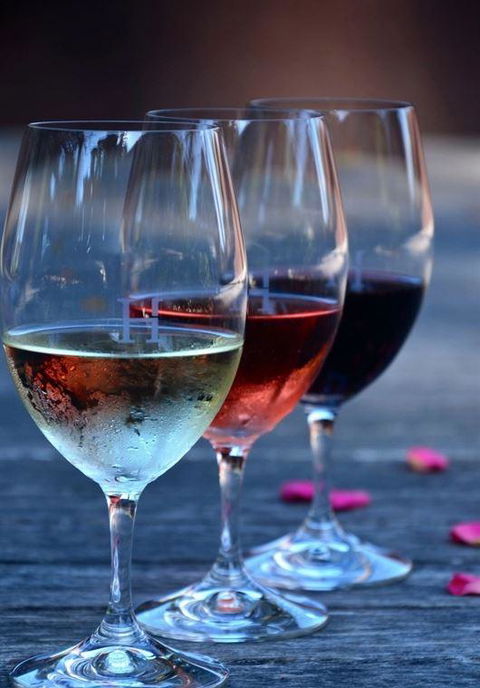 Vines Restaurant At Hollydene Estate - Inverell Accommodation 8