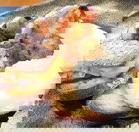 The Peak - Inverell Accommodation