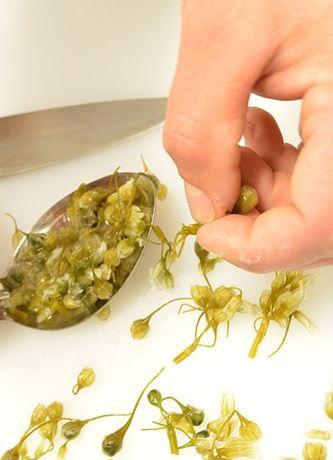 Twelve Stones - Inverell Accommodation 1