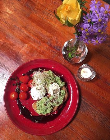 Four Seasons Of Nosh - Inverell Accommodation 0