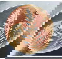 Mareeba Heritage Coffee House - Inverell Accommodation