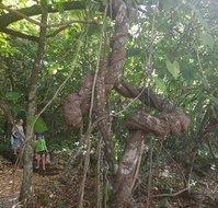 Foxy's Bar - Inverell Accommodation