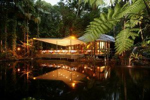 Daintree Eco Lodge & Spa - Inverell Accommodation 2