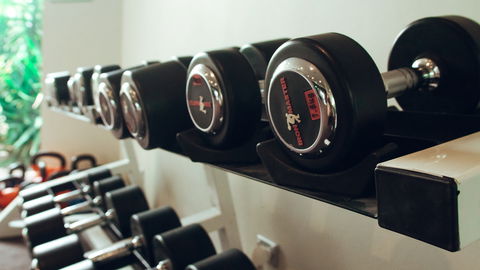 Holiday Inn Warwick Farm - Inverell Accommodation 13