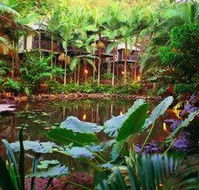 Daintree Eco Lodge  Spa - Inverell Accommodation