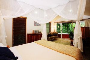 Daintree Eco Lodge & Spa - Inverell Accommodation 1