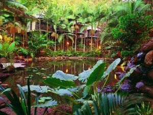 Daintree Eco Lodge & Spa - Inverell Accommodation 0
