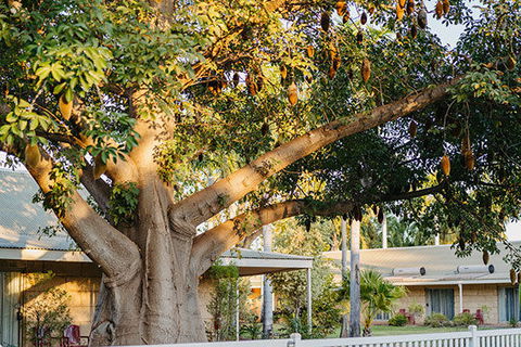 Kimberley Grande Resort & Conf Ctr - Inverell Accommodation 0