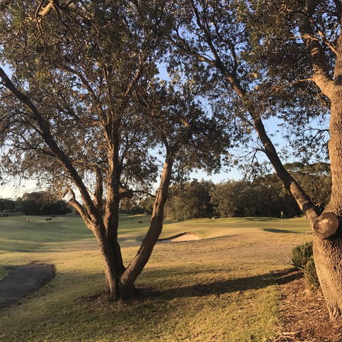 Bangalay Luxury Villas - Inverell Accommodation 37