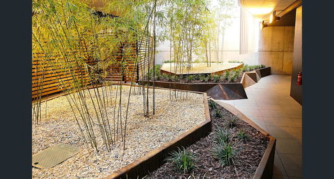 Stylish, Modern, Cute As A Button - Braddon CBD - Inverell Accommodation 2