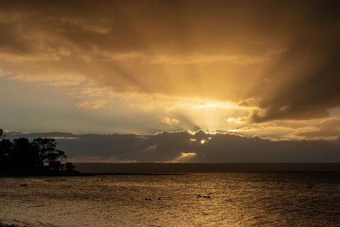 Mercure Kangaroo Island Lodge - Inverell Accommodation 16