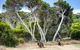 Mercure Kangaroo Island Lodge - thumb 33