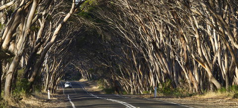 Mercure Kangaroo Island Lodge - Inverell Accommodation 40