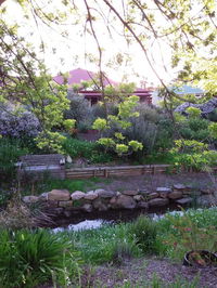 Book Willunga Accommodation Vacations Inverell Accommodation Inverell Accommodation