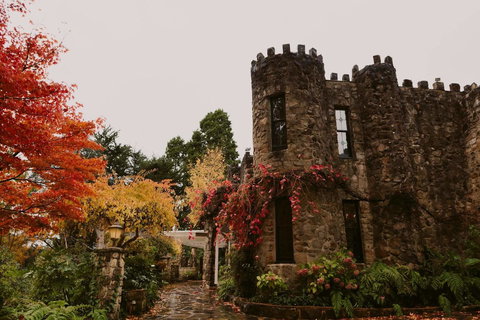 The Manor Basket Range - Inverell Accommodation 15