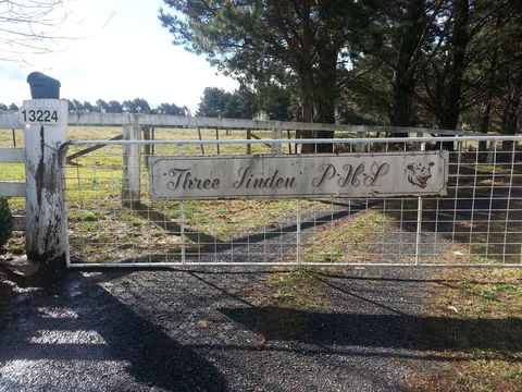 Three Linden - Inverell Accommodation 6