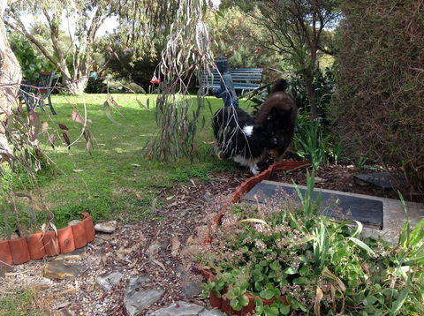 Casuarina Coastal Units - Inverell Accommodation 29