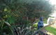 Casuarina Coastal Units - thumb 16