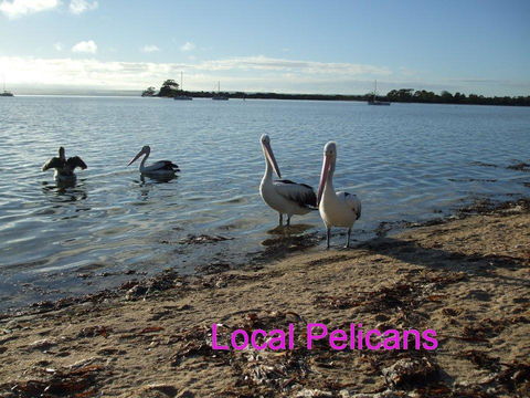Casuarina Coastal Units - Inverell Accommodation 23