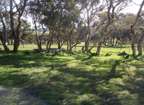 Wenton Farm Holiday Cottages - Inverell Accommodation 1
