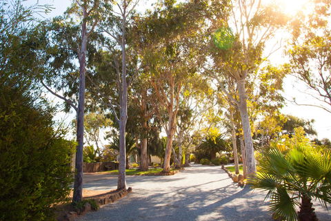 Modra\'s Apartments - Inverell Accommodation 0