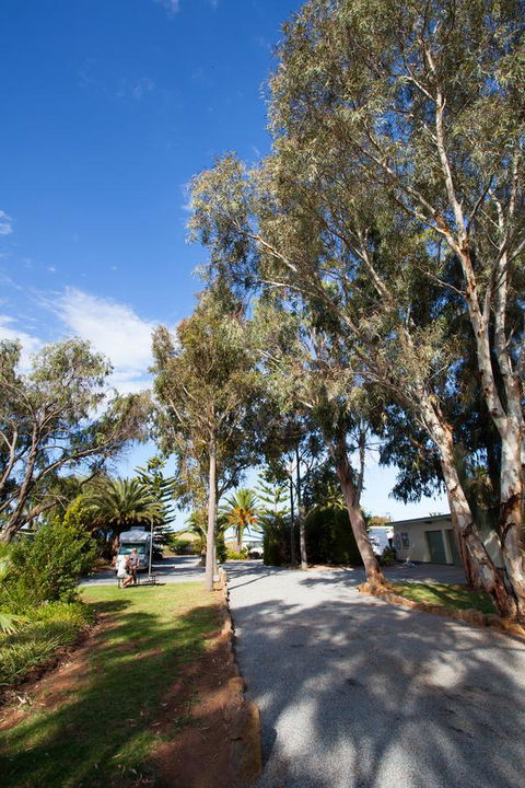Modra\'s Apartments - Inverell Accommodation 7
