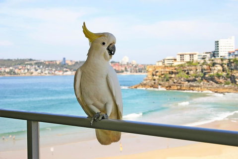 Beachfront Bliss - Inverell Accommodation 23