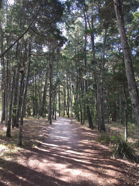 Brunswick Heads Treetop Studio - Inverell Accommodation 8