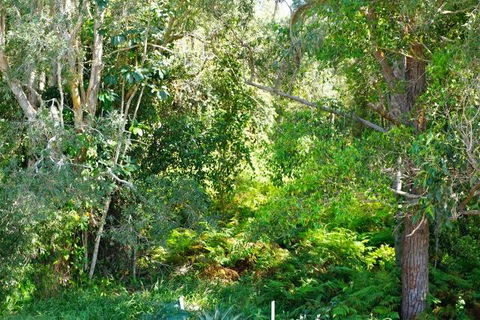 Brunswick Heads Treetop Studio - Inverell Accommodation 20