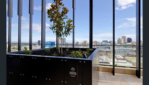 ONE Adelaide CBD - Inverell Accommodation 33