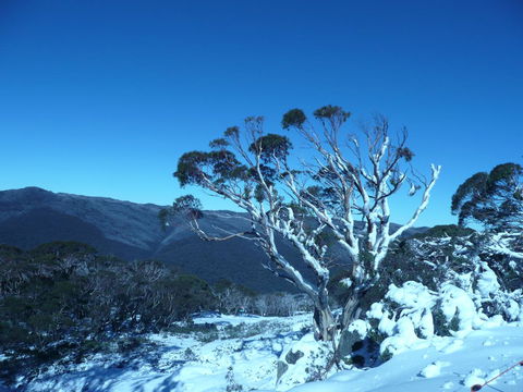 CHILL-OUT - Thredbo - Inverell Accommodation 33